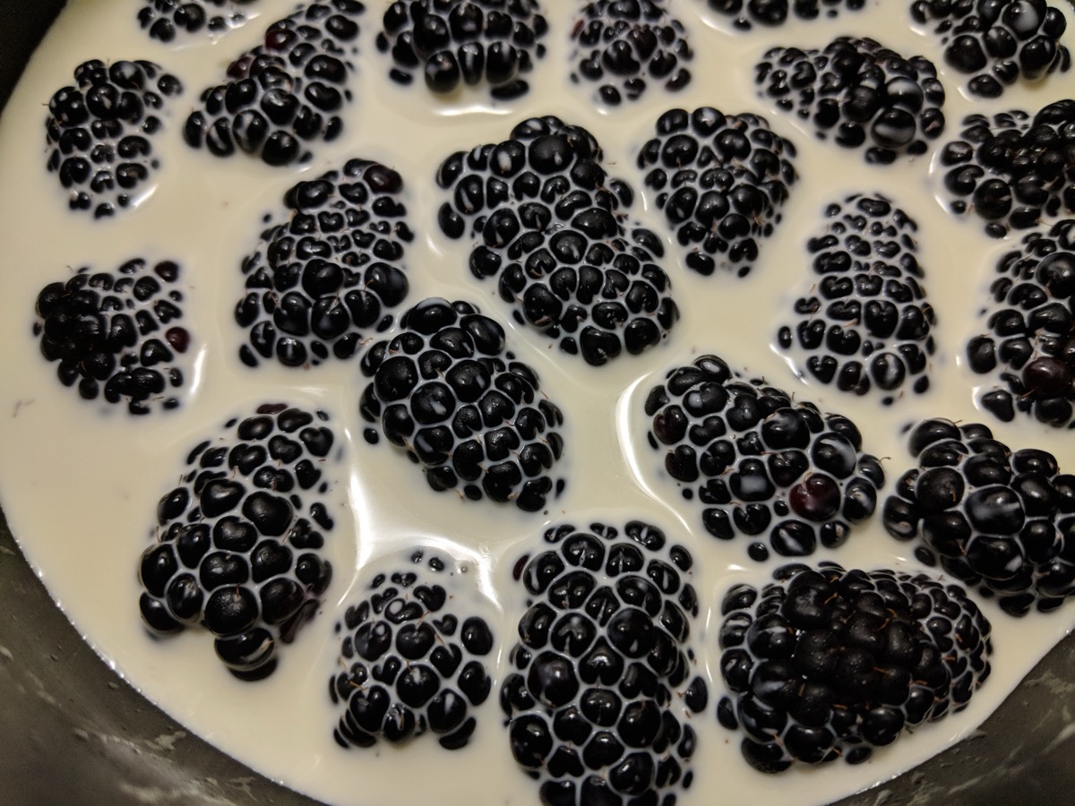 Fresh blackberries simmering in cream